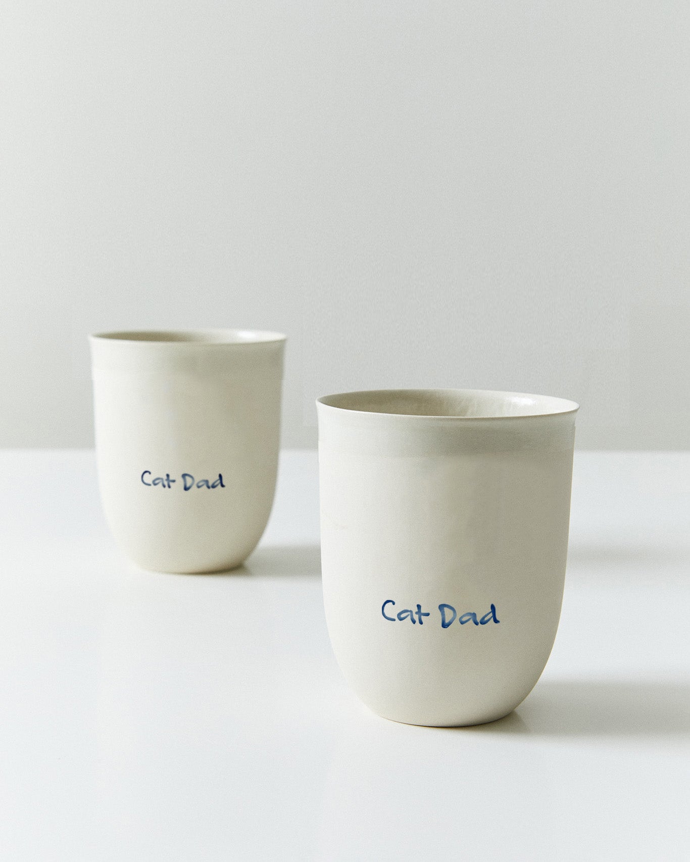 HAYTAP x nu29 - Cat Dad Cup