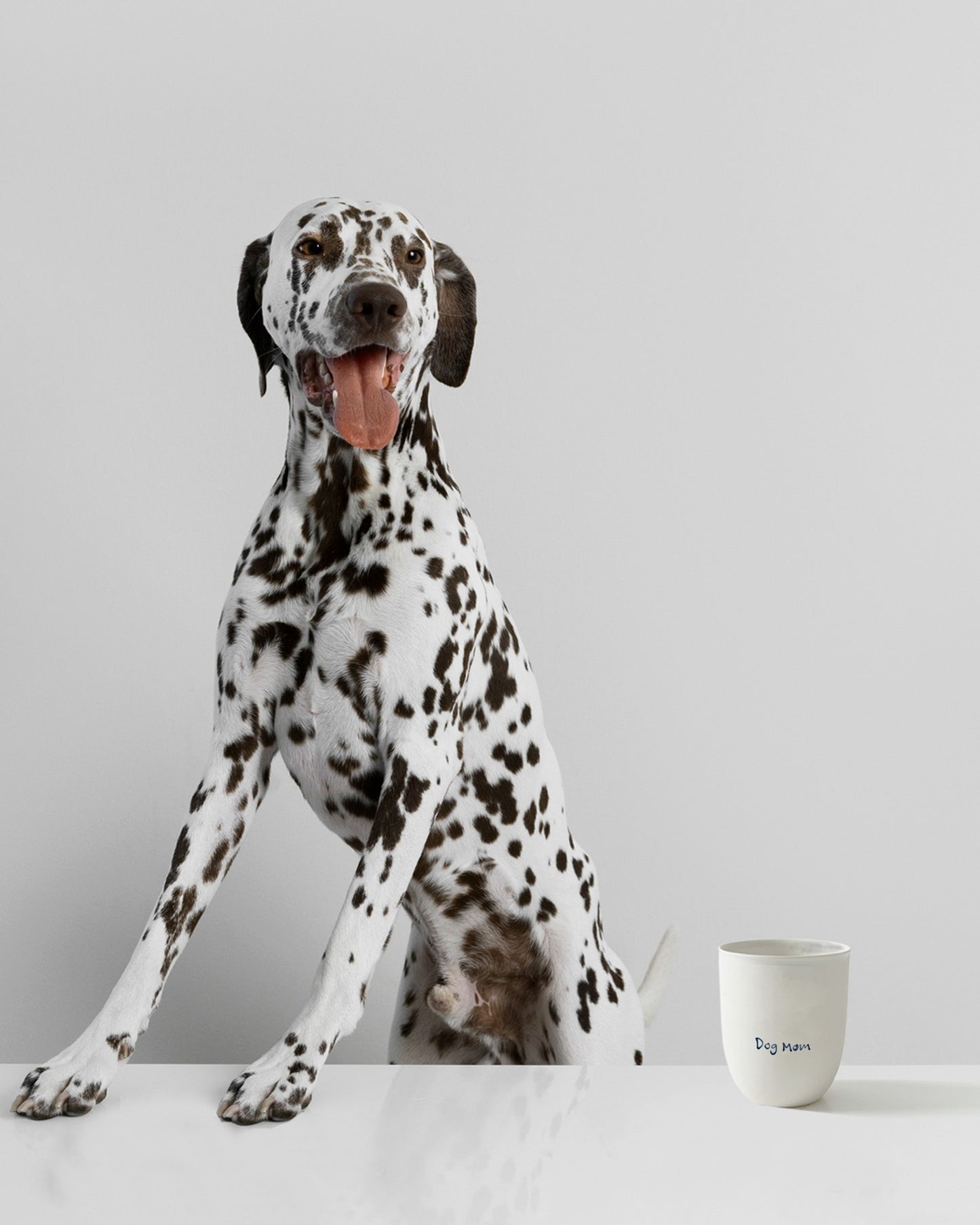 HAYTAP x nu29 - Dog Mom Cup